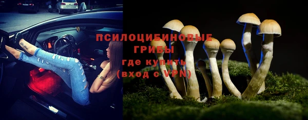 дмт Алзамай