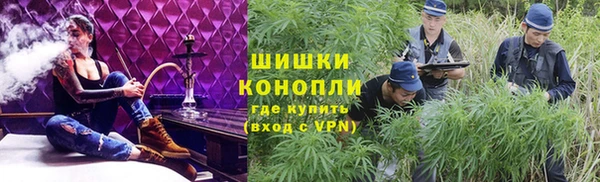 дмт Алзамай